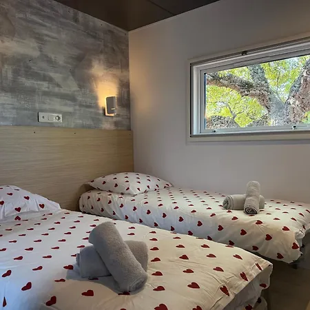 Ethan 营地 Saint-Raphaël